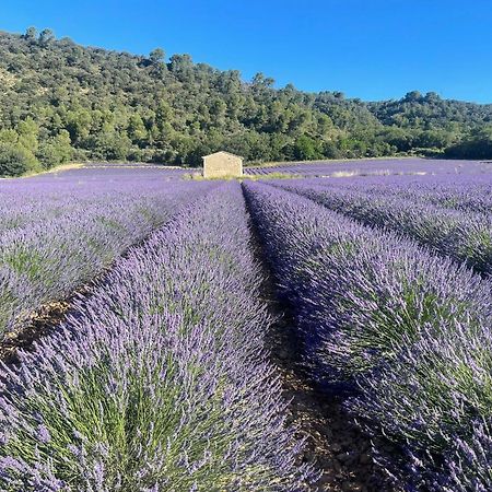 Coeur De Provence Appartement Gréoux-les-Bains Buitenkant foto